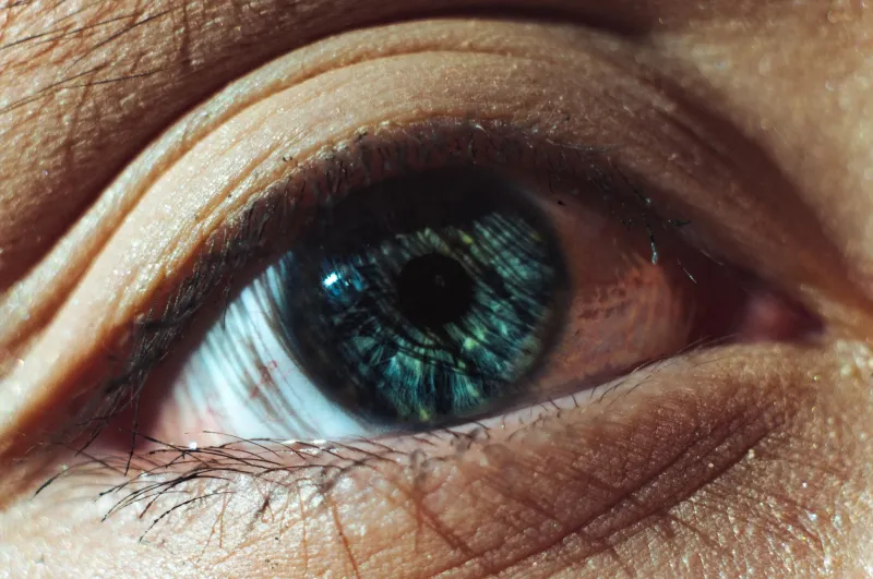 The Central Vision Paradox: How Foveal Dominance May Be Compromising What You See at the Edges