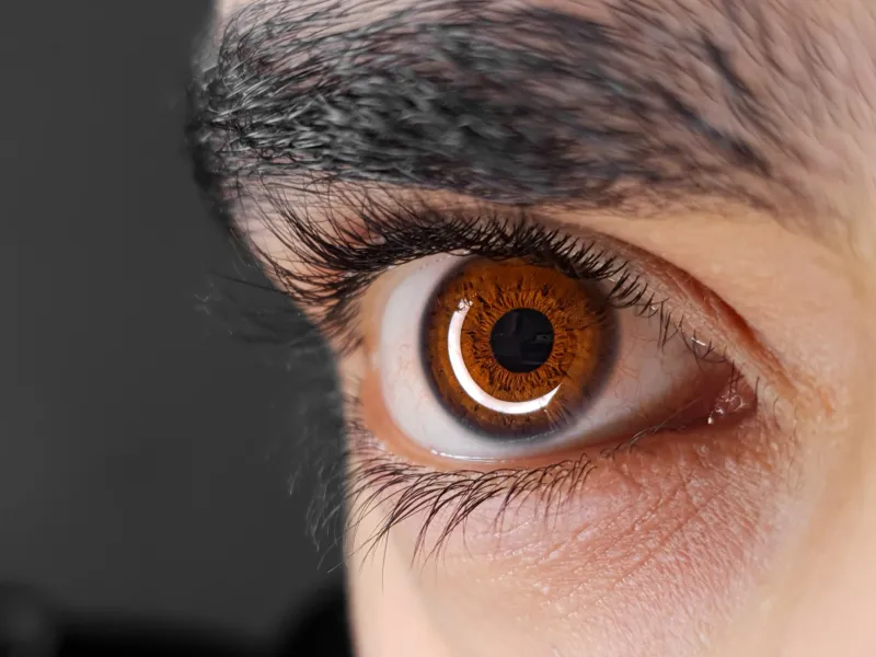 Iris in Motion: The Emerging Science of Pupillometry as a Window Into the Brain