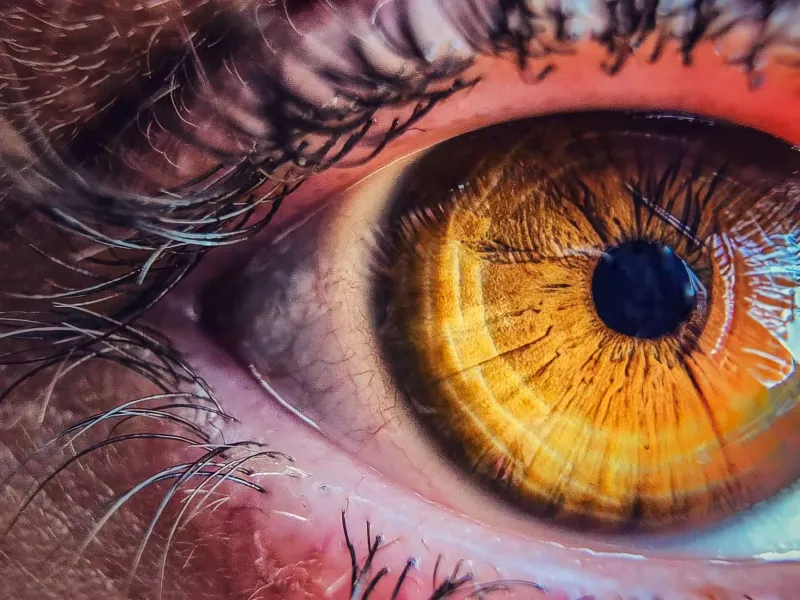 Stillness Is an Illusion: The Science of Microsaccades and the Restless Eye Behind Every Fixed Gaze