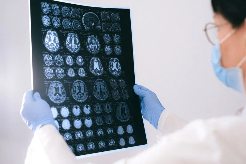 The Midbrain in Command: How the Superior Colliculus Shapes Visual Attention Before Consciousness Arrives